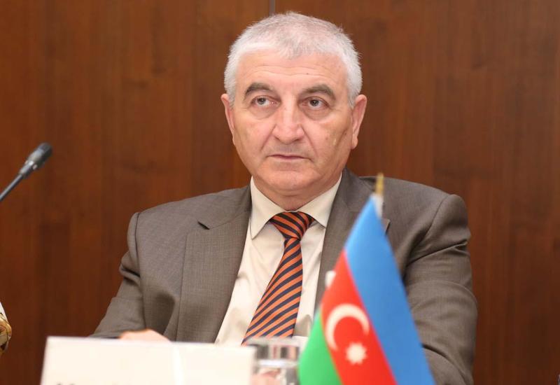 Мазахир Панахов: Миссия БДИПЧ ОБСЕ в Азербайджане служит иным целям, не имеющим отношения к выборам