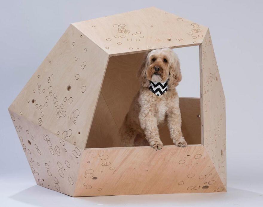 Известные архитекторы создали 20 домов для собак к благотворительному аукциону в Лондоне