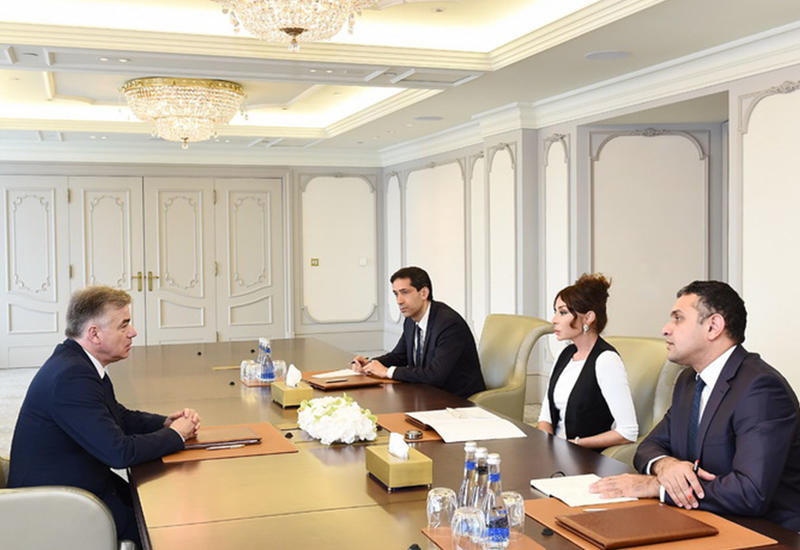 Первый вице-президент Мехрибан Алиева встретилась с председателем группы дружбы Франция-Кавказ Сената Франции