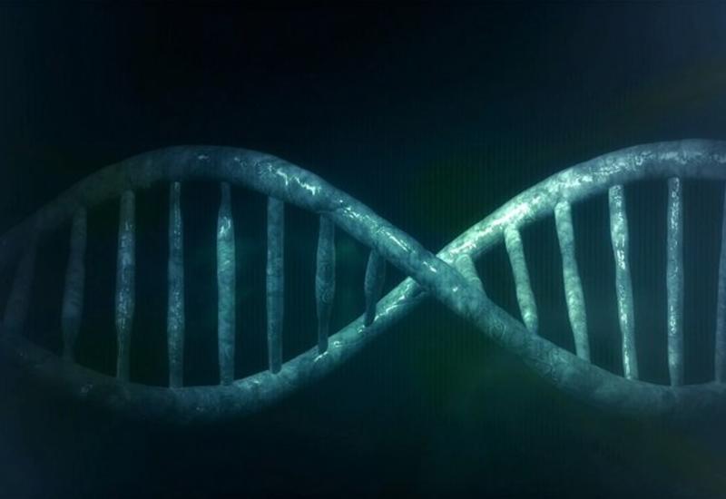 Китайские ученые научились редактировать ДНК людей