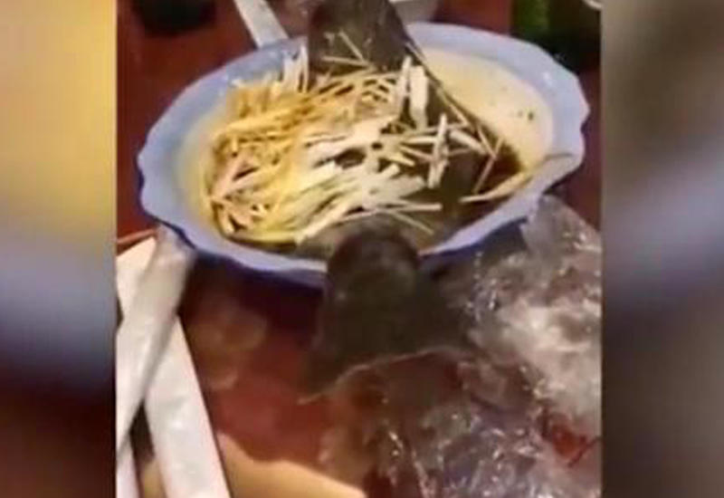Приготовленная рыба выпрыгнула из тарелки и распугала посетителей ресторана