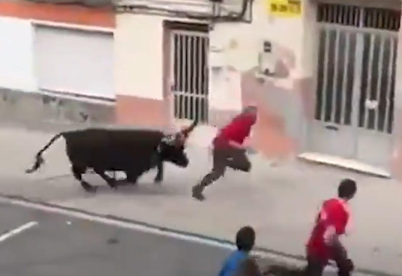 Бык поднял на рога человека на фестивале в Испании