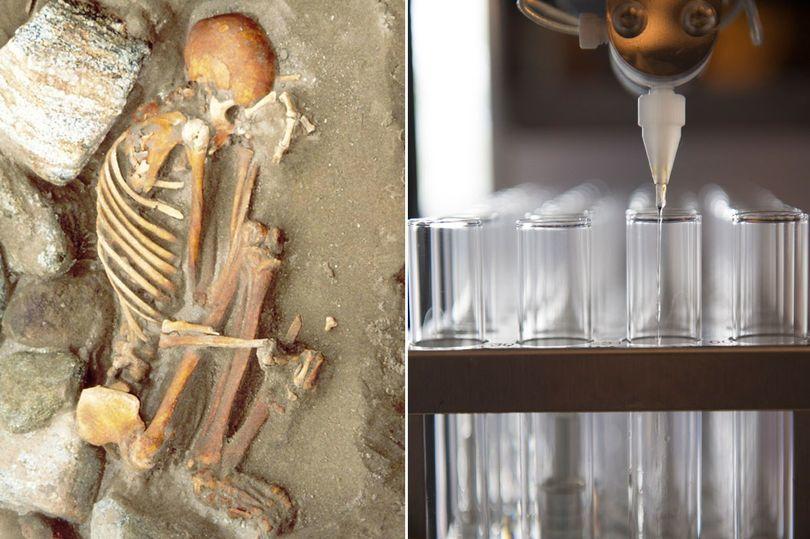 4500 illik skeletə yeridilən insan virusu tapıldı