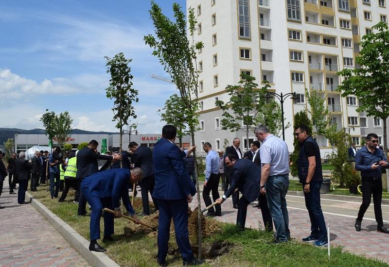 В Тбилиси посадили 95 деревьев в память об Общенациональном лидере Гейдаре Алиеве