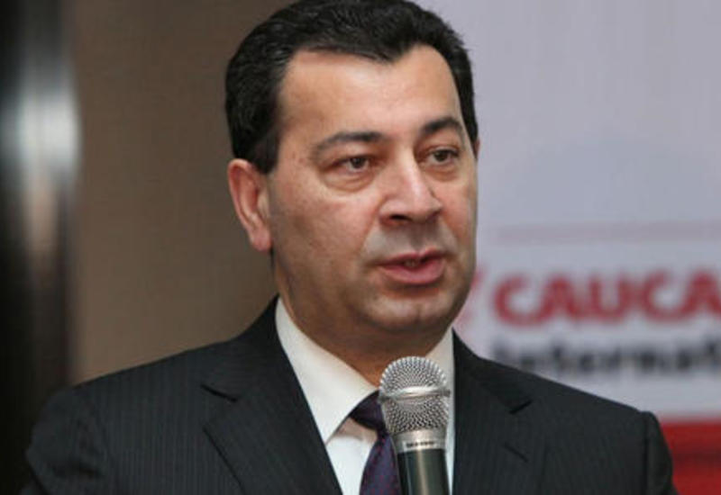 Самед Сеидов: Некоторые силы, в том числе армянское лобби, хотят отдалить Азербайджан от Совета Европы
