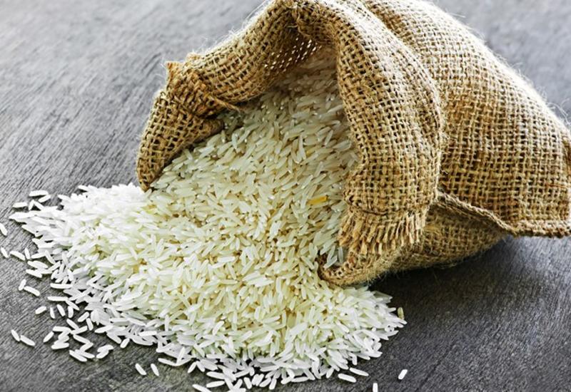 Ученые предупредили о "рисовом кризисе", который грозит большими проблемами