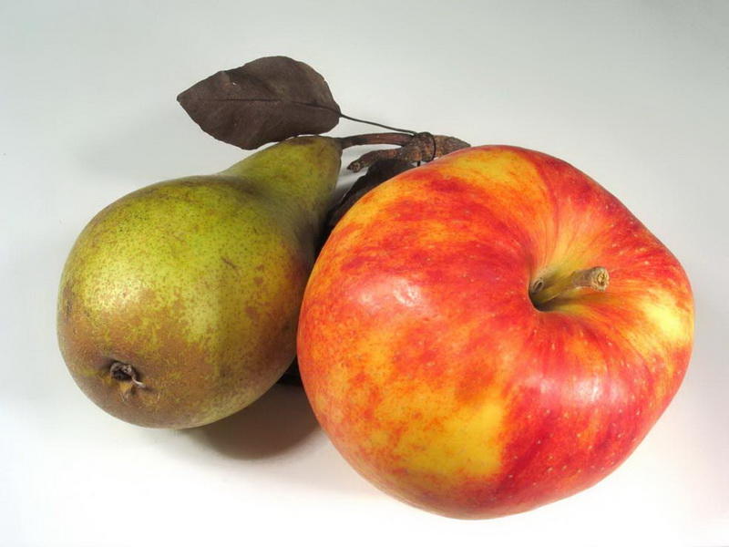 dietfood19
