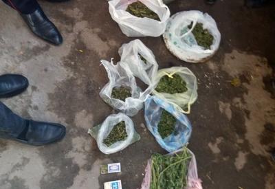 За один день из незаконного оборота выведено 25 кг наркотиков