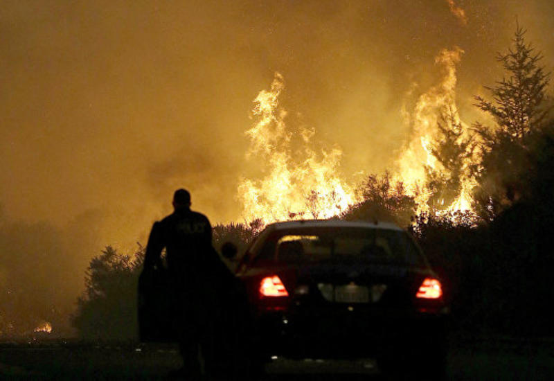 В США назвали причину прошлогодних лесных пожаров в Калифорнии