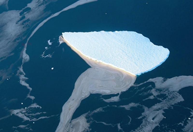 Антарктида потеряла более триллиона тонн льда за пять лет