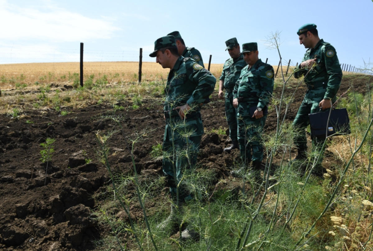 Новые подробности перестрелки на азербайджано-иранской границе