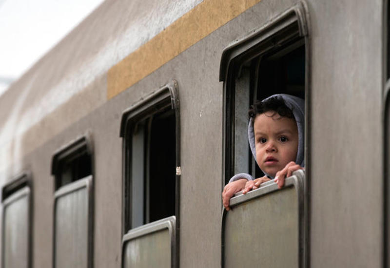 Более 500 детей-мигрантов воссоединились с семьями на границе США