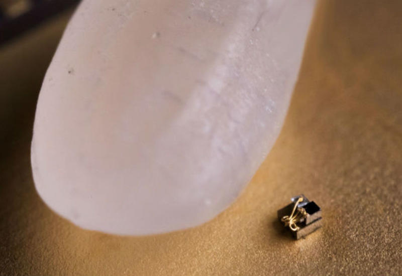 Самый маленький в мире компьютер измерит температуру внутри раковой опухоли