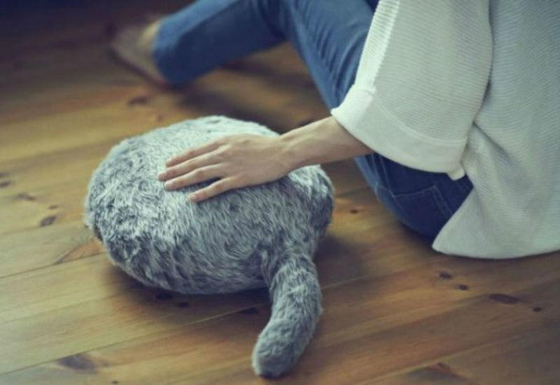 Ты ее гладишь, а она мурчит: японцы создали подушку - заменитель кота