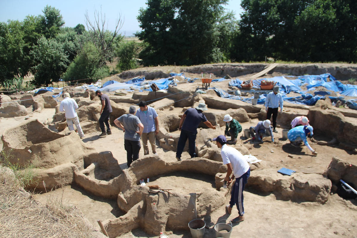 В Азербайджане могут создать первый в мире уникальный археопарк