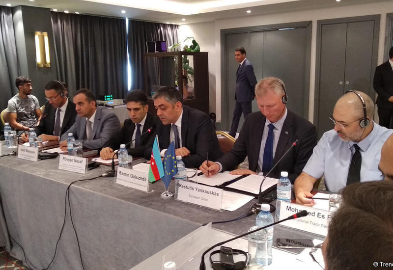 Рамин Гулузаде: В Азербайджане будет разработана нацстратегия по развитию e- коммерции