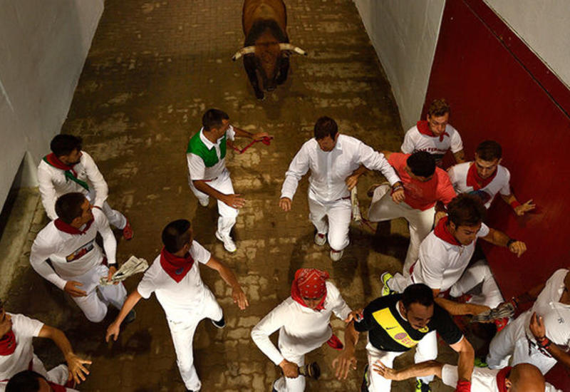 В Испании при забегах быков пострадало около 30 человек