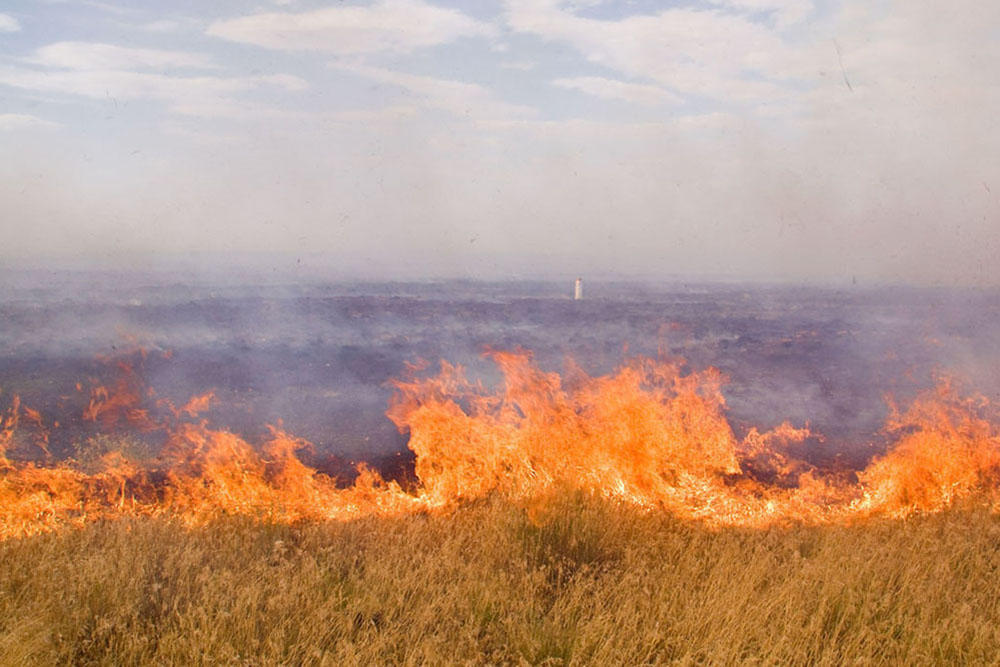 В Азербайджане потушен крупный пожар