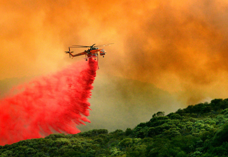 На севере Калифорнии бушует рекордный лесной пожар