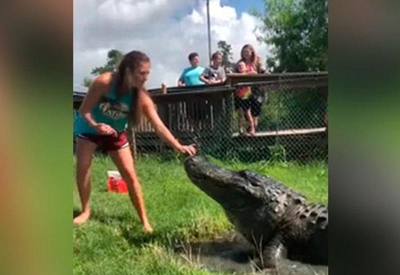 Бесстрашная девушка приручила огромного крокодила