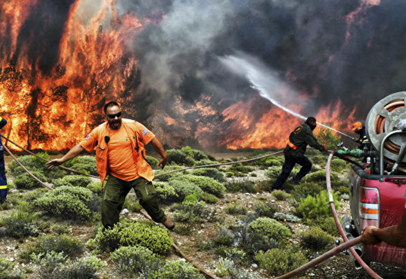 Остров Эвбея в Греции горит уже более 16 часов