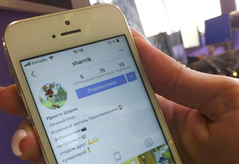 Шарик из Простоквашино завел аккаунт в Instagram