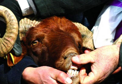 Qurban bayramında nələrə diqqət edilməli? <span class="color_red">- VİDEO</span>