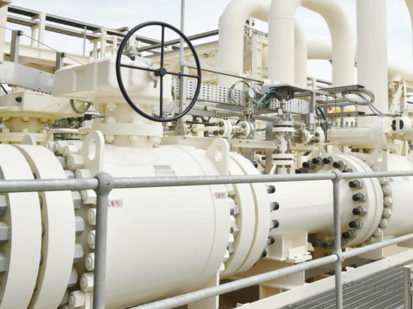 Германия заинтересована в развитии проекта «Южный газовый коридор»