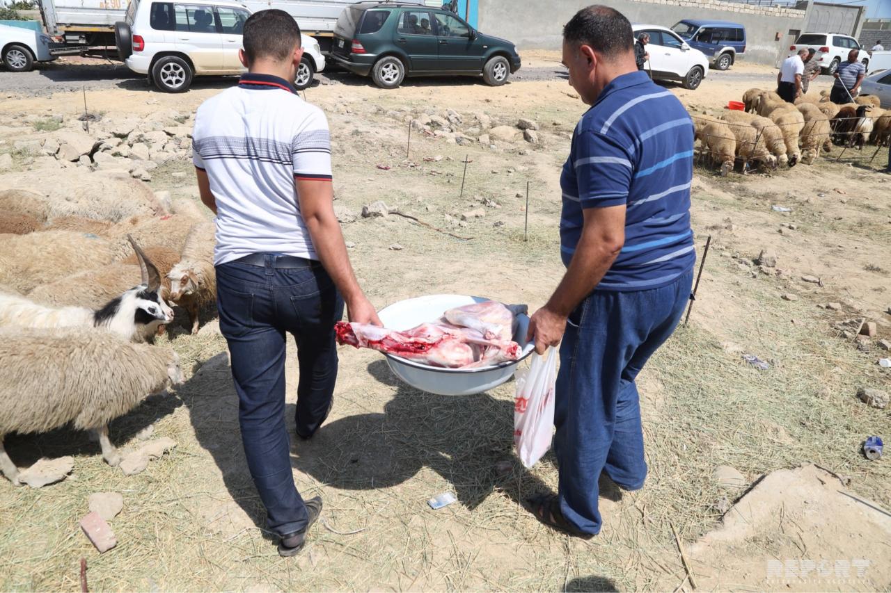 В Баку проводятся ярмарки по продаже жертвенных животных