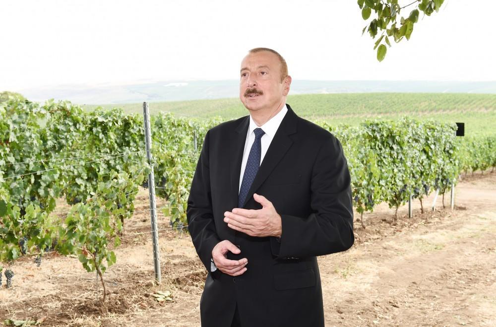 Президент Ильхам Алиев: У виноградарства в Aзербайджане прекрасное будущее