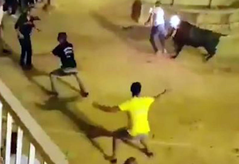Зрители сняли на камеры, как разъярённый бык с горящими рогами растерзал туриста