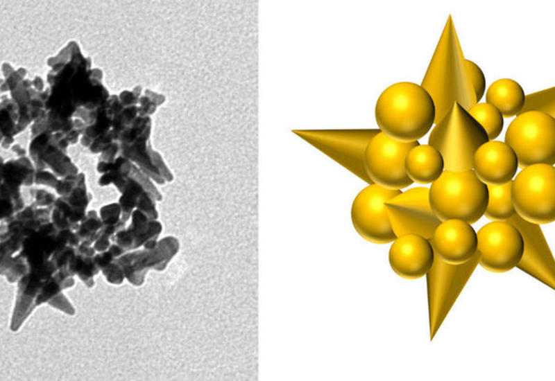 Создан вирус, который "лепит" из золота шарики и шипы