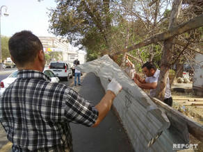 В Баку начался демонтаж незаконных строений