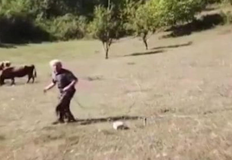 Пожилой пастух, первый раз увидевший беспилотник, прославился в турецких соцсетях