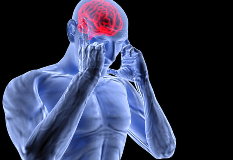 Ученые обнаружили новый “центр боли” в головном мозге