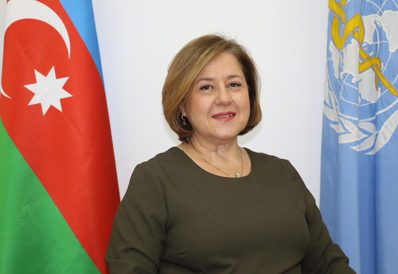 Назначен новый представитель ВОЗ в Азербайджане