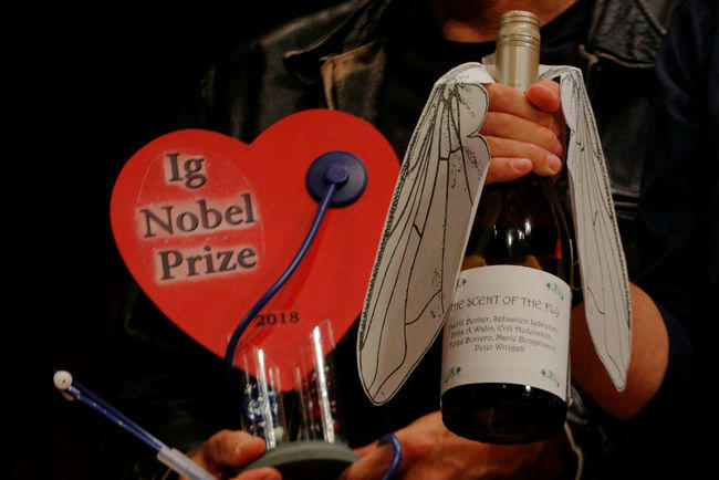 Ученому вручили премию за определение мухи в бокале вина по запаху