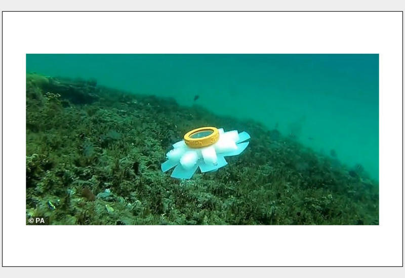 Роботы-медузы помогут морским биологам