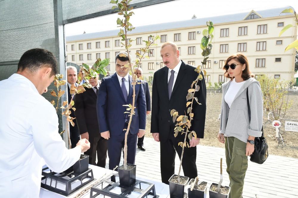Поездка Президента Ильхама Алиева и Первой леди Мехрибан Алиевой в Губинский район