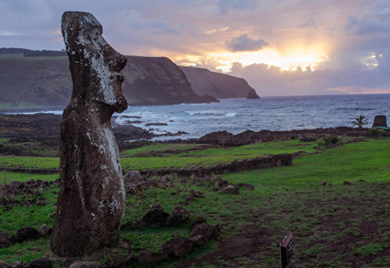 Археологи выяснили, как люди смогли выжить на острове Пасхи