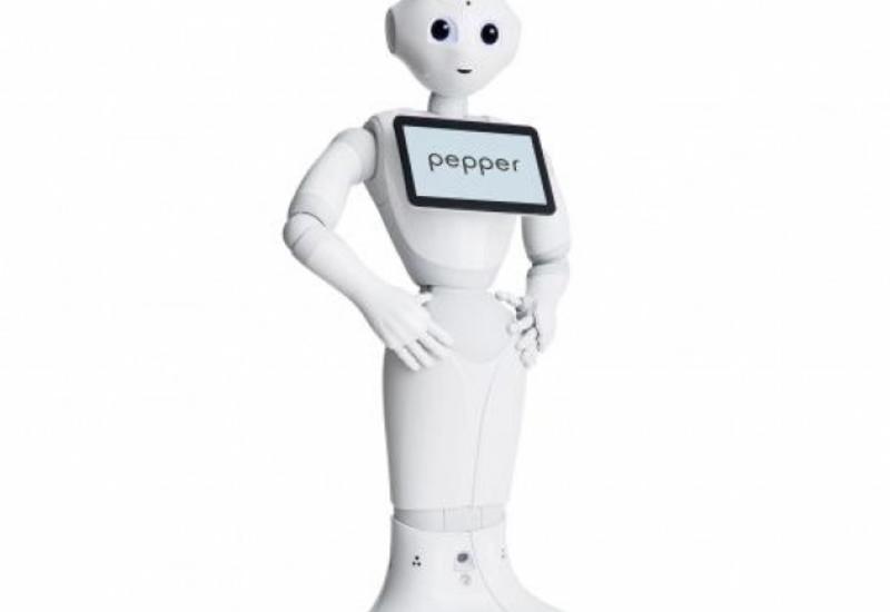 В британском парламенте впервые выступил робот