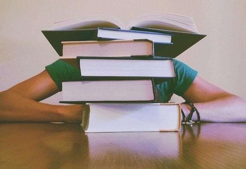 В Германии профессора оштрафовали на 2250 евро за запоздалое возвращение книг