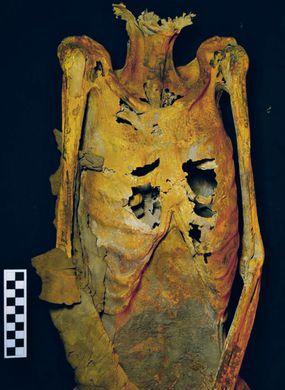 В Египте найдены 3000-летние останки влиятельной жрицы