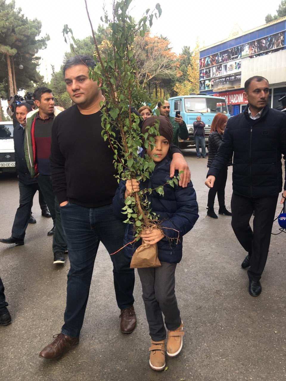 Жителям Баку роздали саженцы деревьев