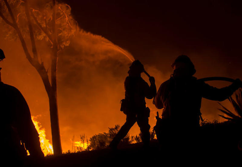 В Калифорнии из-за лесных пожаров погибли пять человек