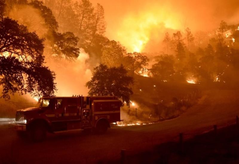 Трамп назвал виновных в лесных пожарах в Калифорнии