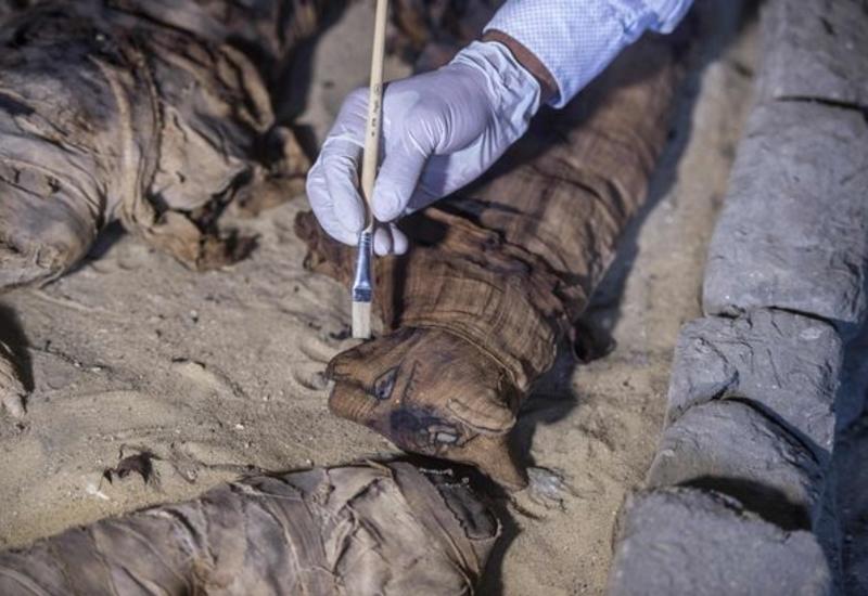 В Египте обнаружили редкую коллекцию кошачьих мумий