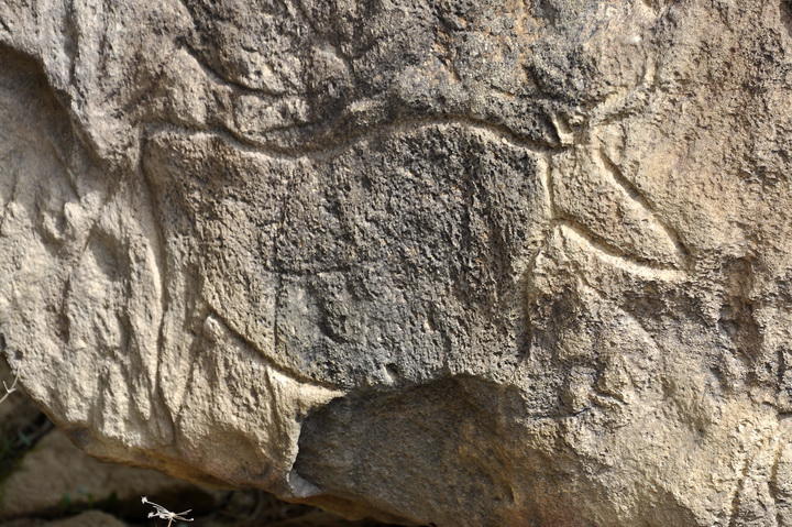 Каменные тайны Гобустана