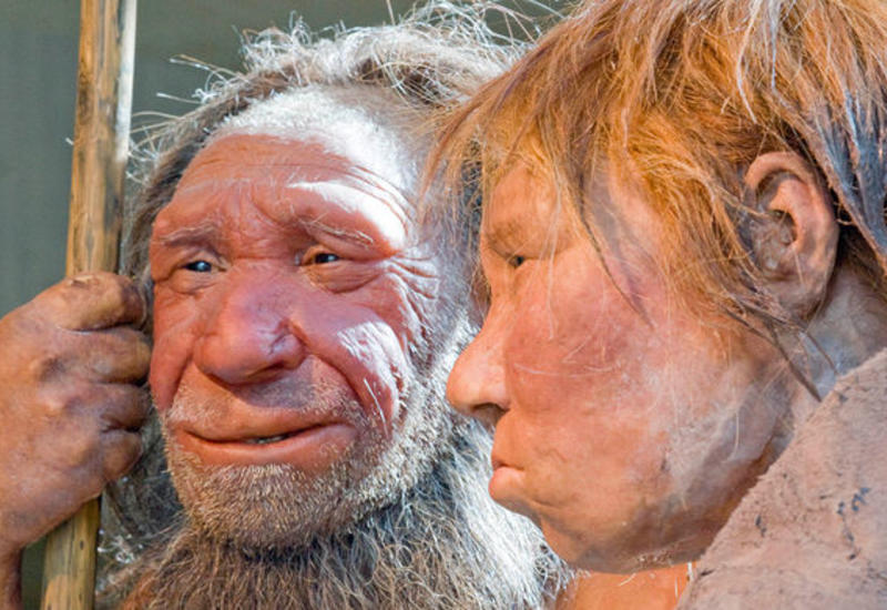 Ученые: неандертальцы не были агрессивными