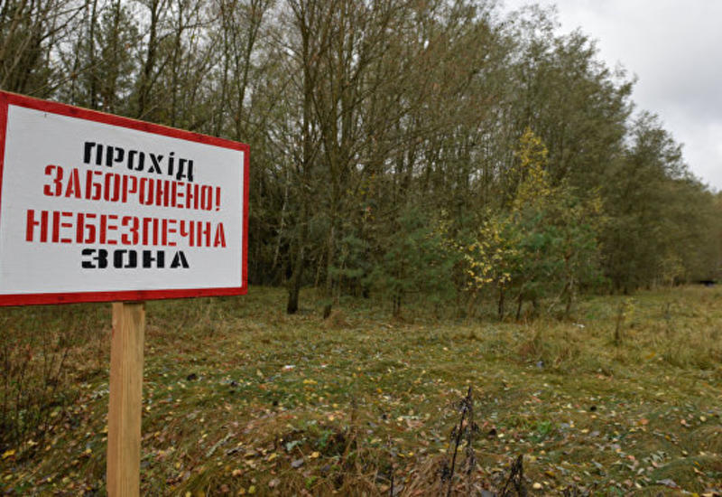 Ученые узнали, как хроническое облучение влияет на популяции растений